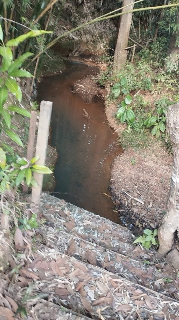 Terreno de 23.000 m² à Venda em São José do Almeida, MG - Excelente Oportunidade - Imagem 14